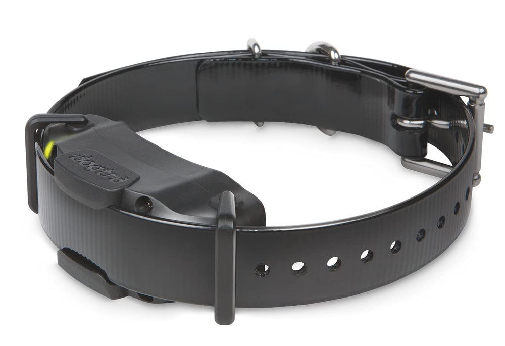 Dogtra 1900S ergonomic neck-fit design for comfortable long sessions.