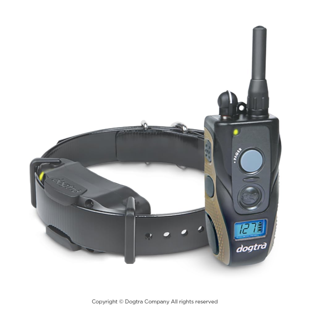 Dogtra 1900S offers Nick, Constant, and High-Performance Pager options for tailored training