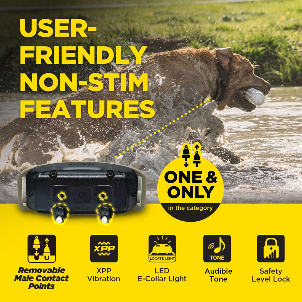 Dogtra 1900X safety lock prevents accidental changes during training
