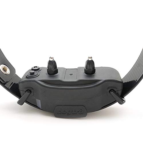 Dogtra 1902S PetsTEK clicker included for positive reinforcement