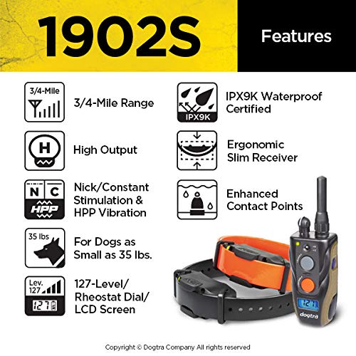 Dogtra 1902S waterproof collar in rain scene demonstrating durability