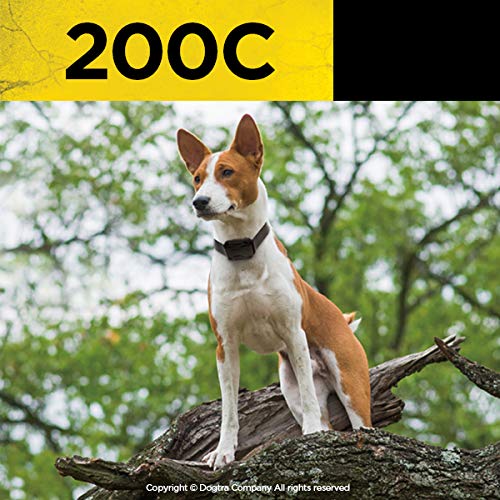 Dogtra 200C complete package includes charger and manual for quick setup.