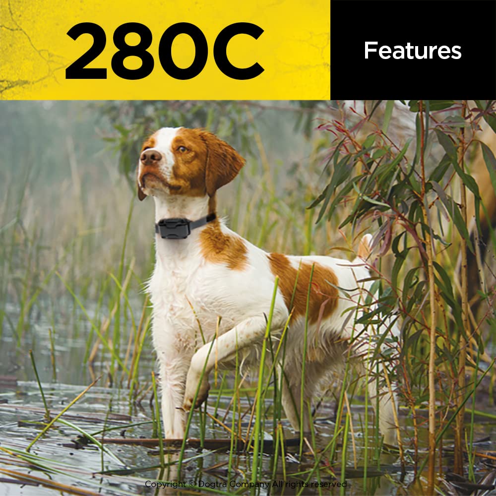 Dogtra 280C remote delivers up to half a mile of range for flexible training spaces.