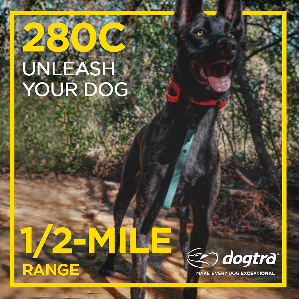 Dogtra 280C offers Nick and constant stimulation modes for versatile training options.