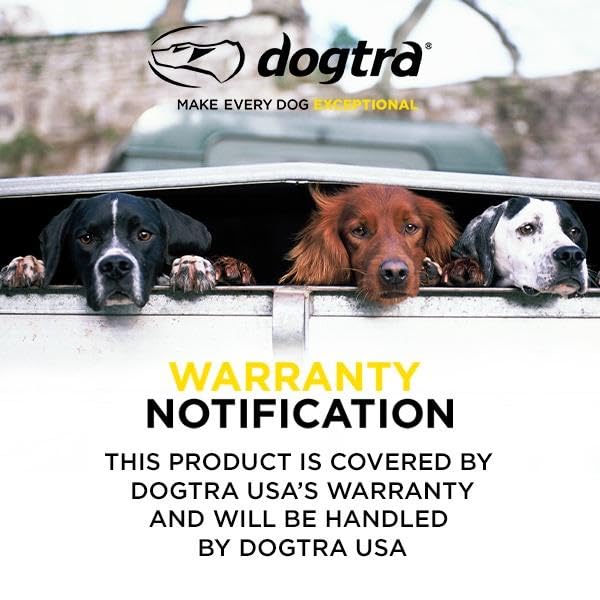 Dogtra 280C remote provides stable training across yards with up to half-mile range.