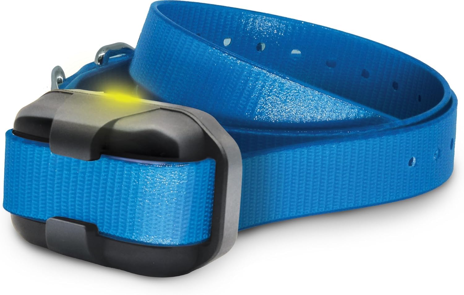 Dogtra 280X 1000-lux LED light boosts night safety.