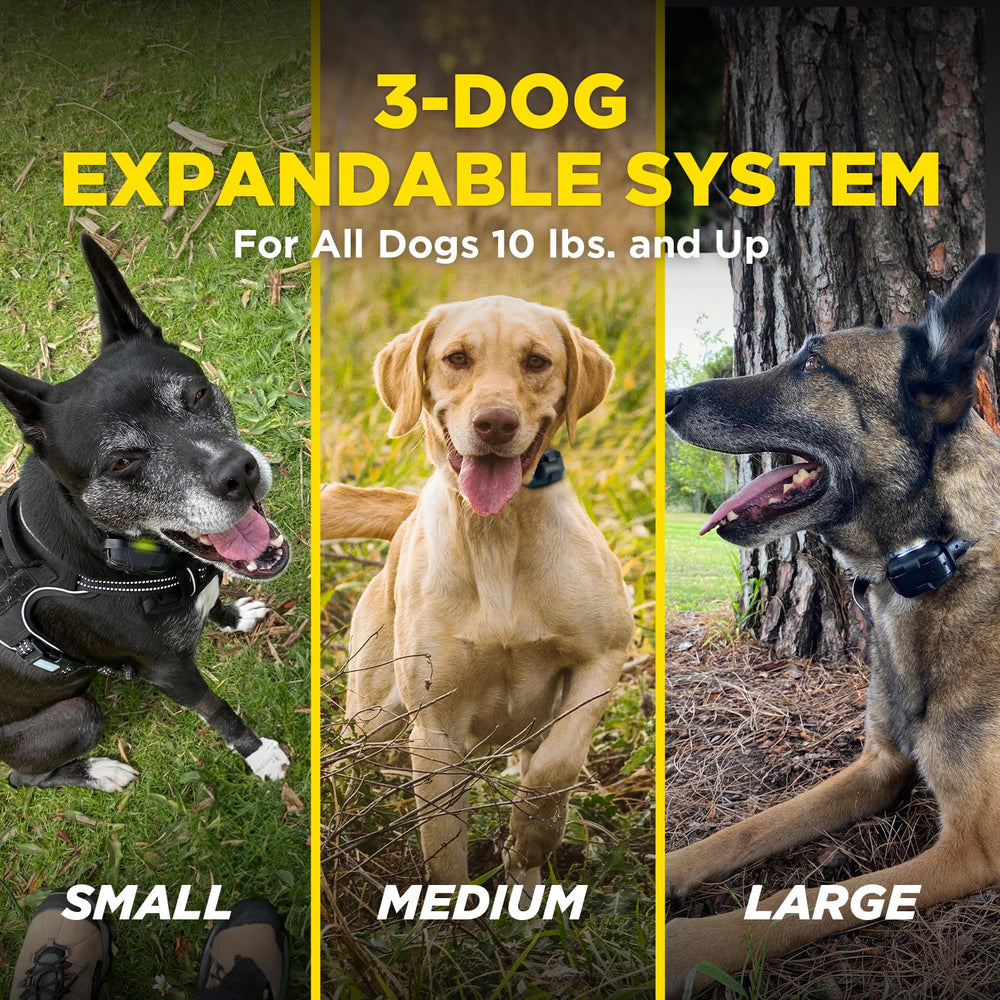 Dogtra 280X front-and-center button for instant correction timing during training sessions.