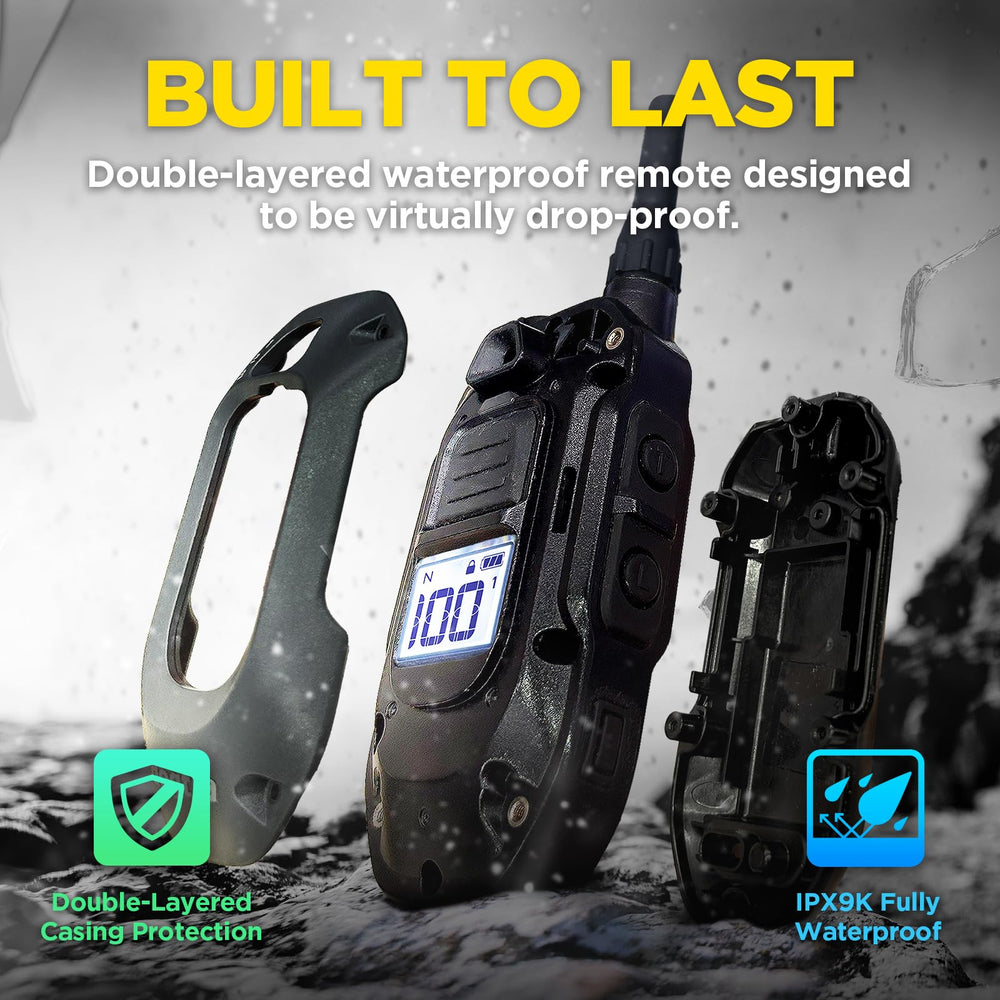 Dogtra 280X 1000-lux LED light enhances night safety during dusk walks.