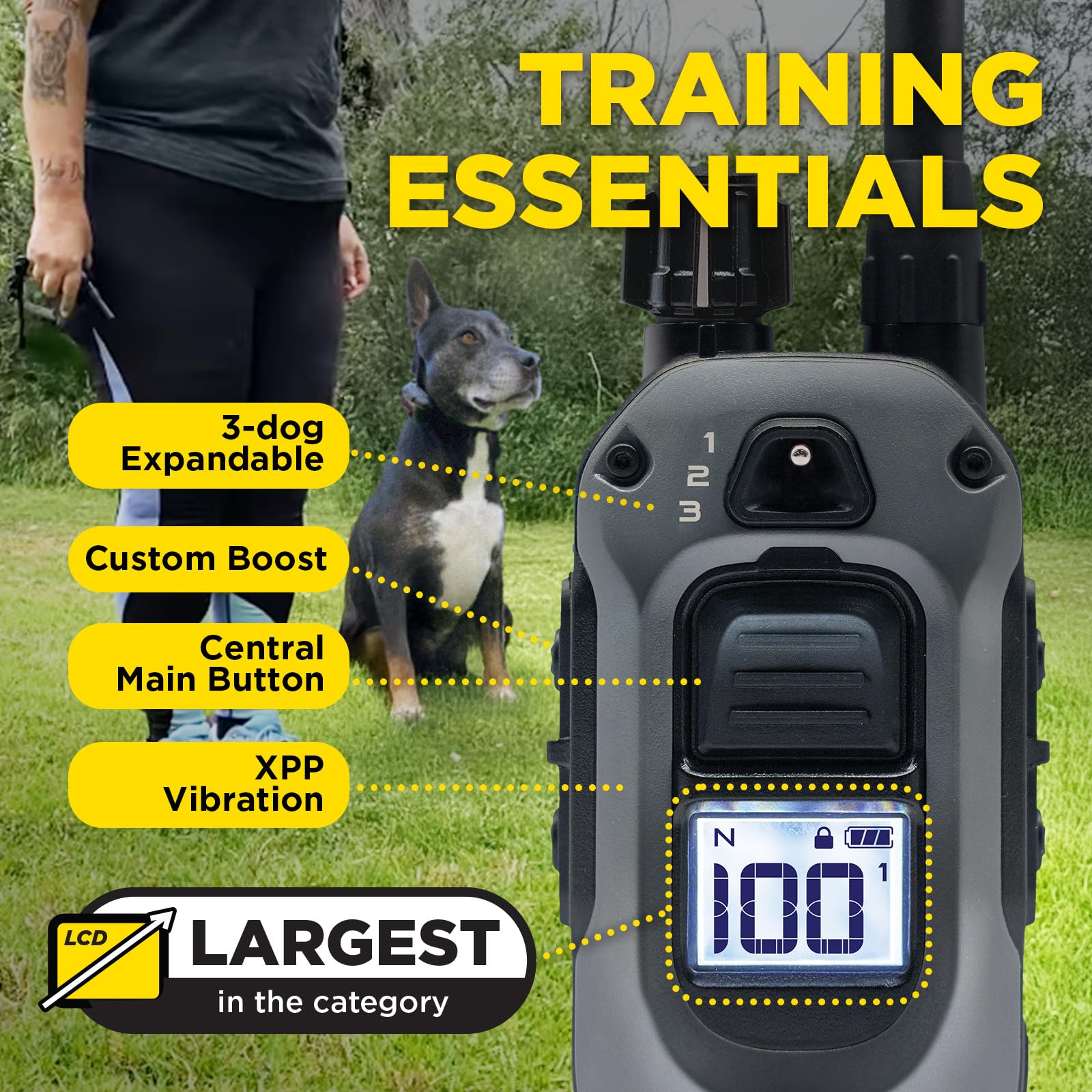 Dogtra 280X LED-light nighttime use demonstrates enhanced safety during evening training.