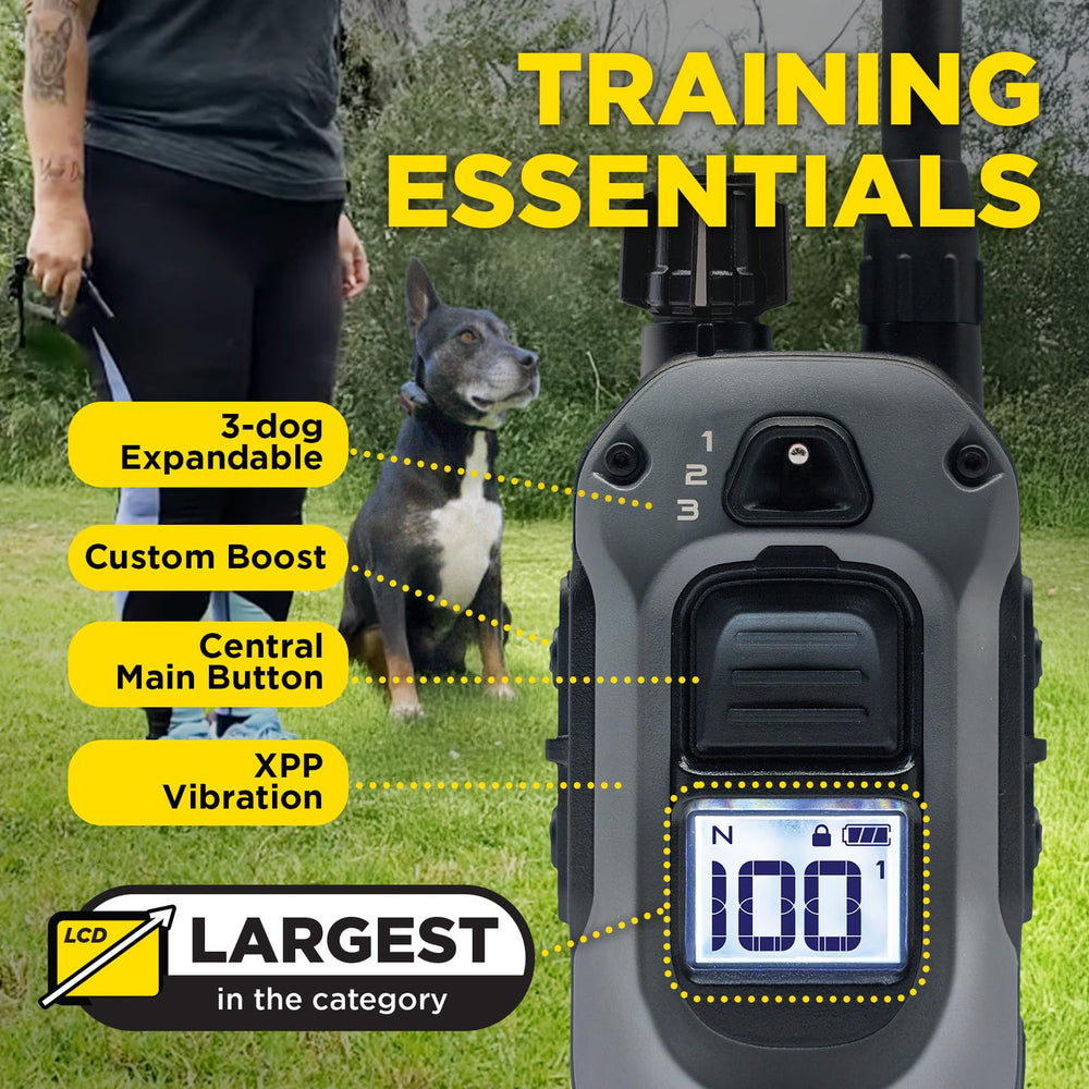 Dogtra 280X LED-light nighttime use demonstrates enhanced safety during evening training.