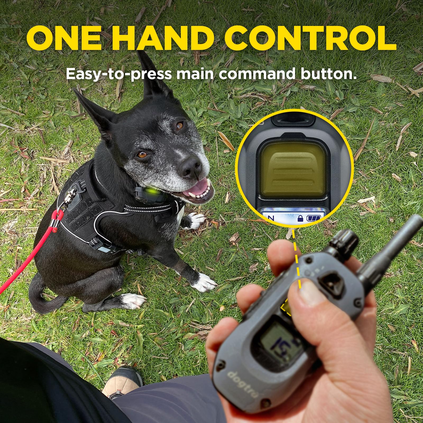 Dogtra 280X removable contact points fit dogs 10 lbs and up for comfort.