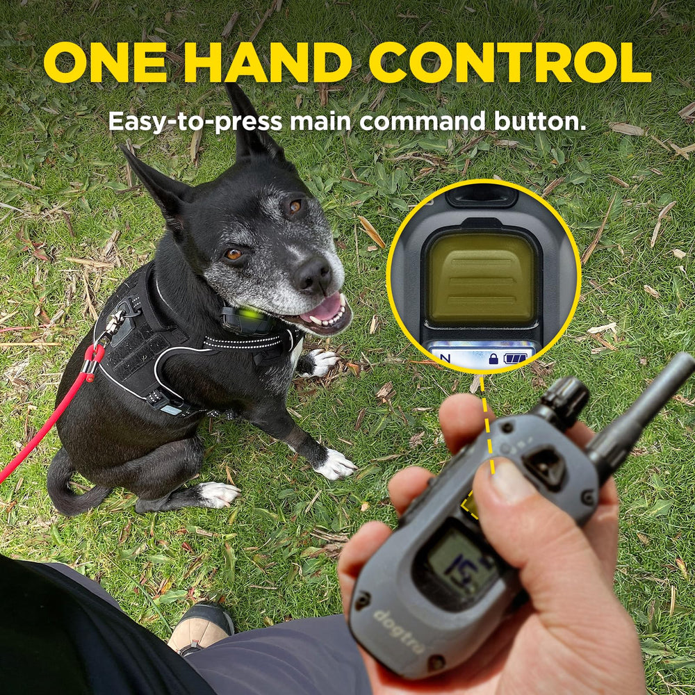 Dogtra 280X removable contact points fit dogs 10 lbs and up for comfort.