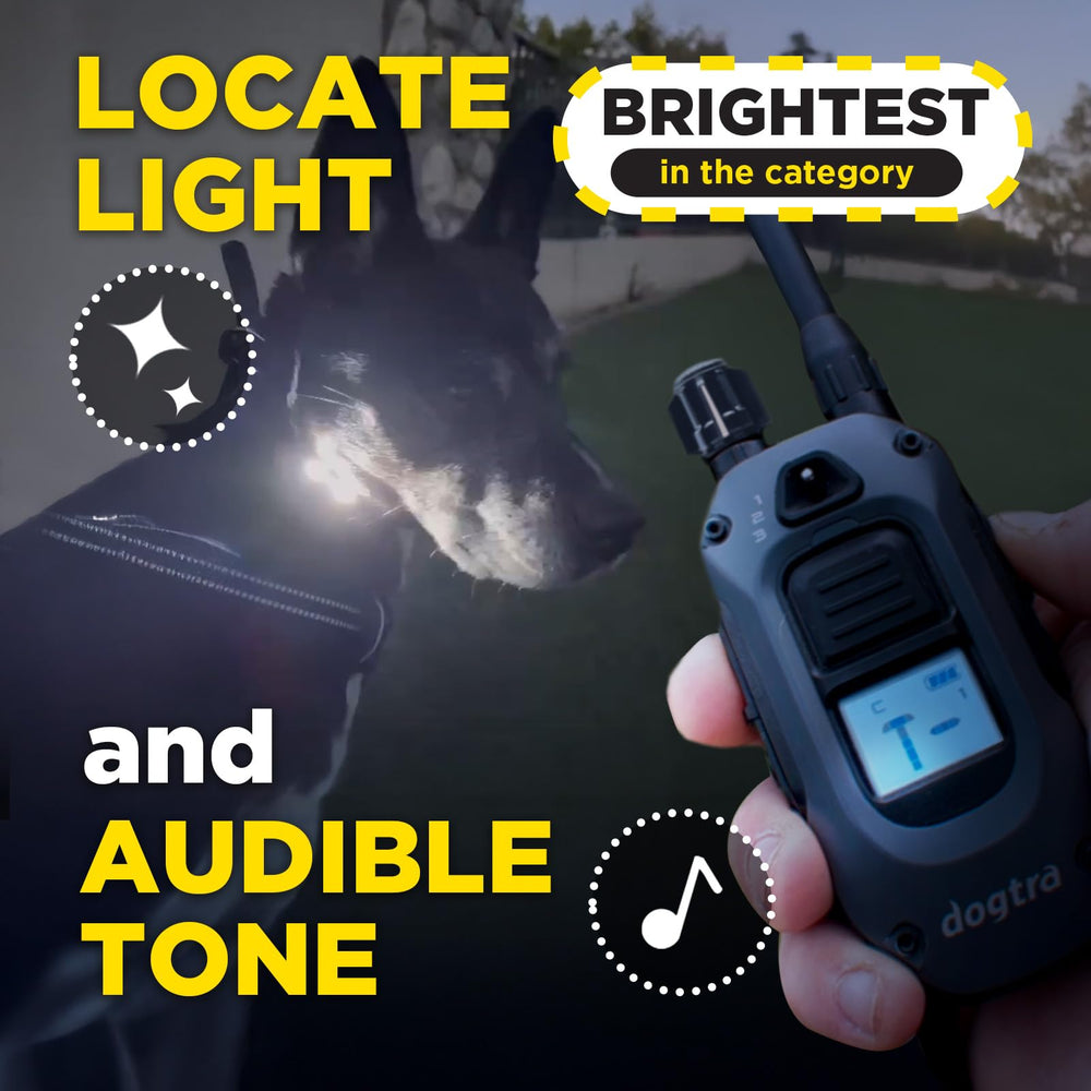 Dogtra 280X safety lock feature prevents accidental switches during training.