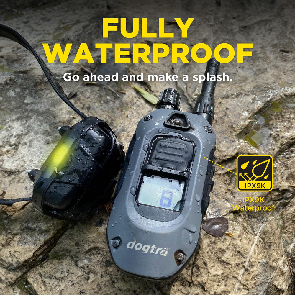 Dogtra 280X tone, vibration, and BOOST enhance recall.