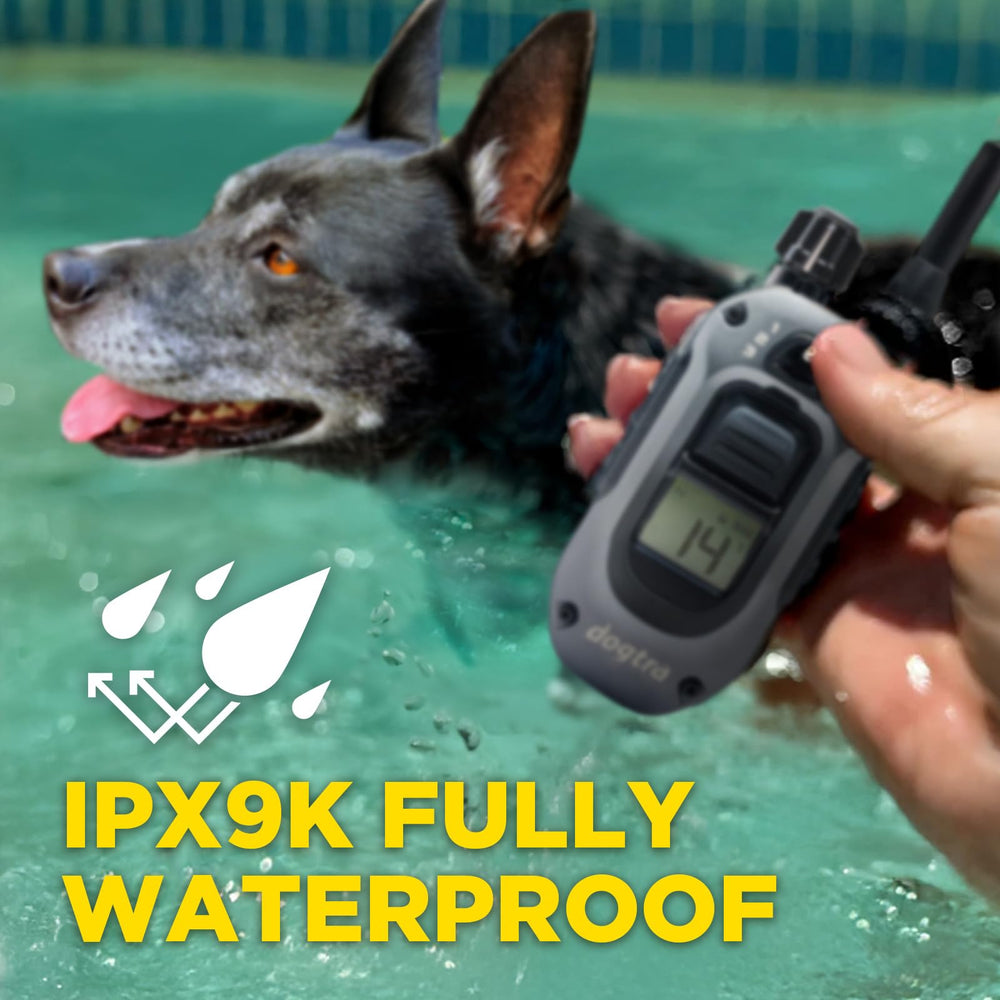 Dogtra 280X waterproof design withstands beach, rain, and submersion adventures.