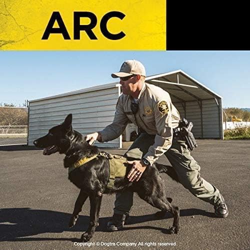 Dogtra ARC compact-receiver-on-dog-neck showcases discreet, comfortable wear during active sessions.