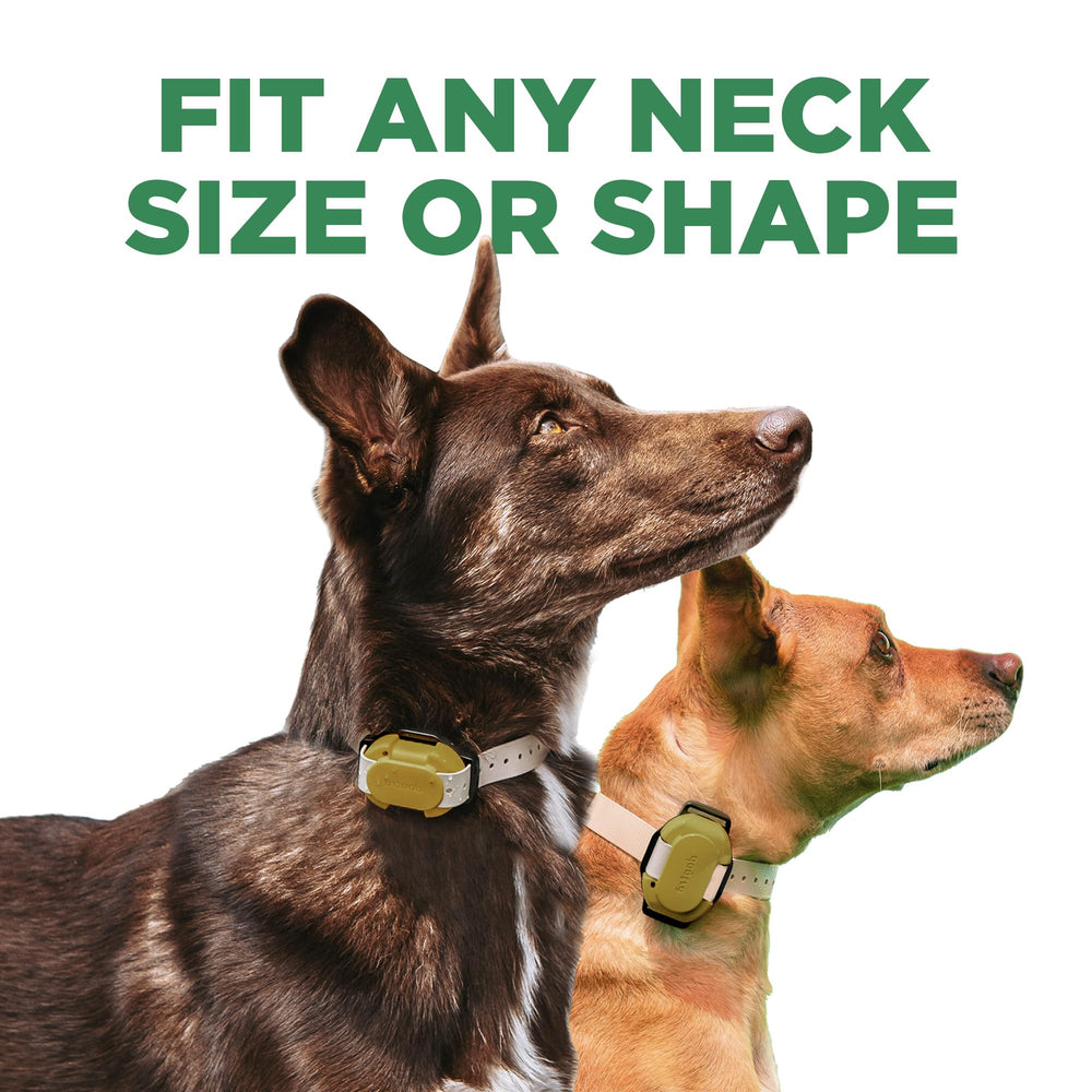 Dogtra CUE Gen 2 tan compact receiver fits dogs 10 pounds and up.