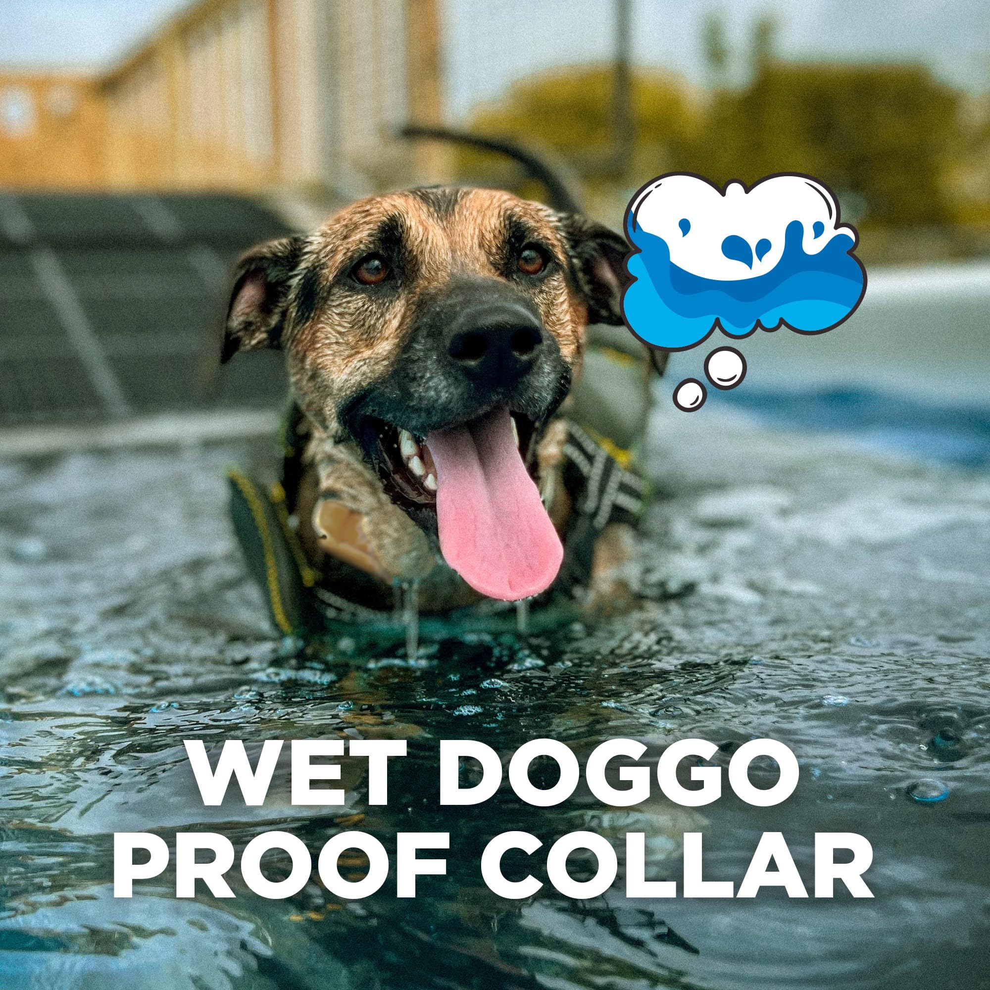 Dogtra CUE Gen 2 tan waterproof receiver withstands rain and mud training.