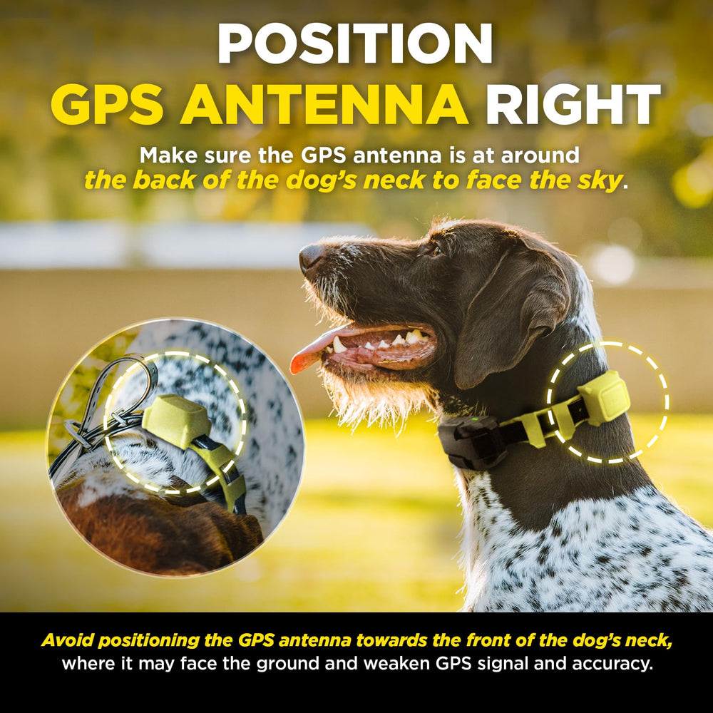 Dogtra GPS Fence IPX9K waterproof collar for rugged outdoor use