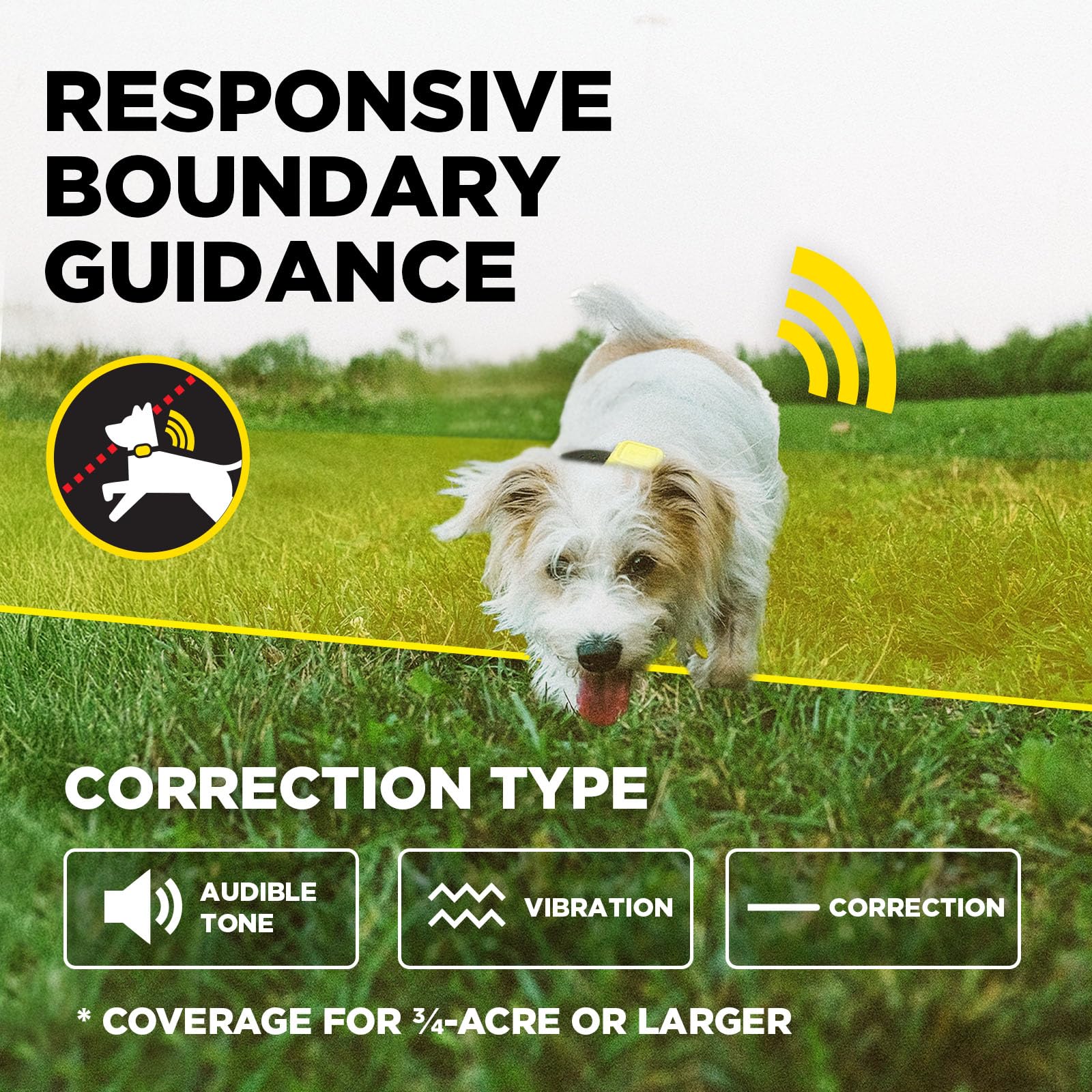 Dogtra support team and training guide for confident setup
