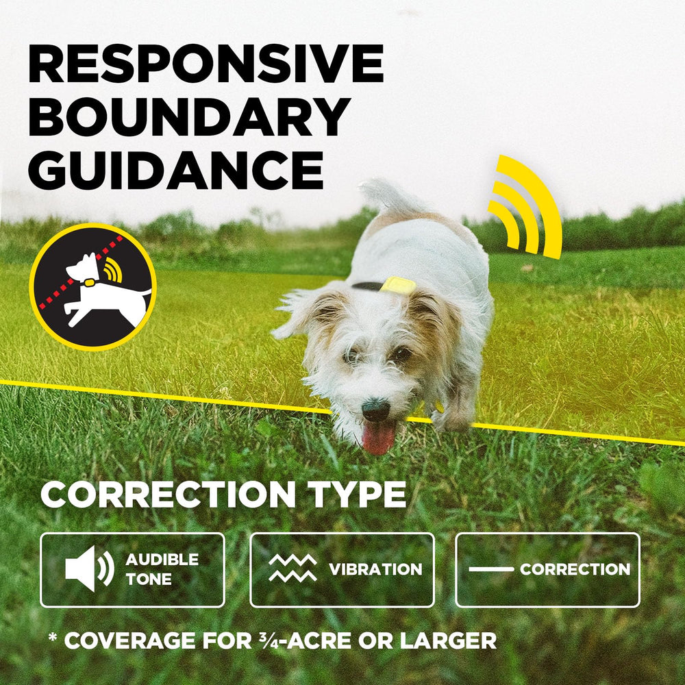 Dogtra support team and training guide for confident setup