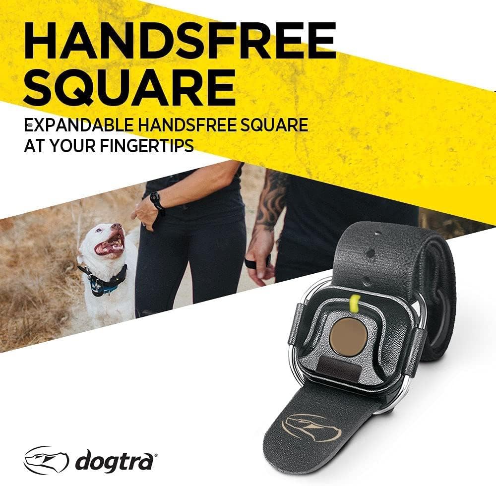 Dogtra HANDSFREE Square fingertip control for multitasking during training.