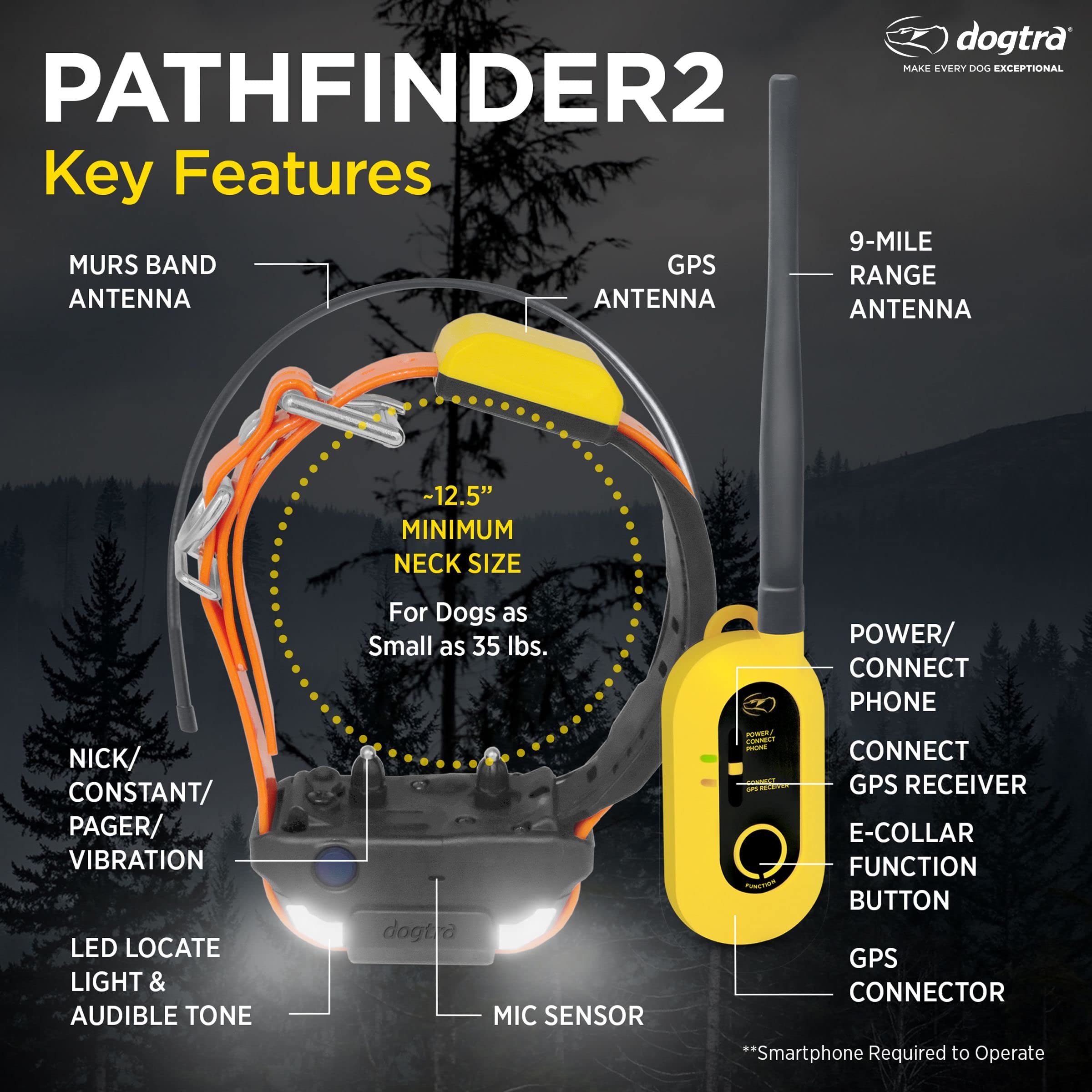 Dogtra Pathfinder 2 e-collar receiver ready for precise stimulation and tone