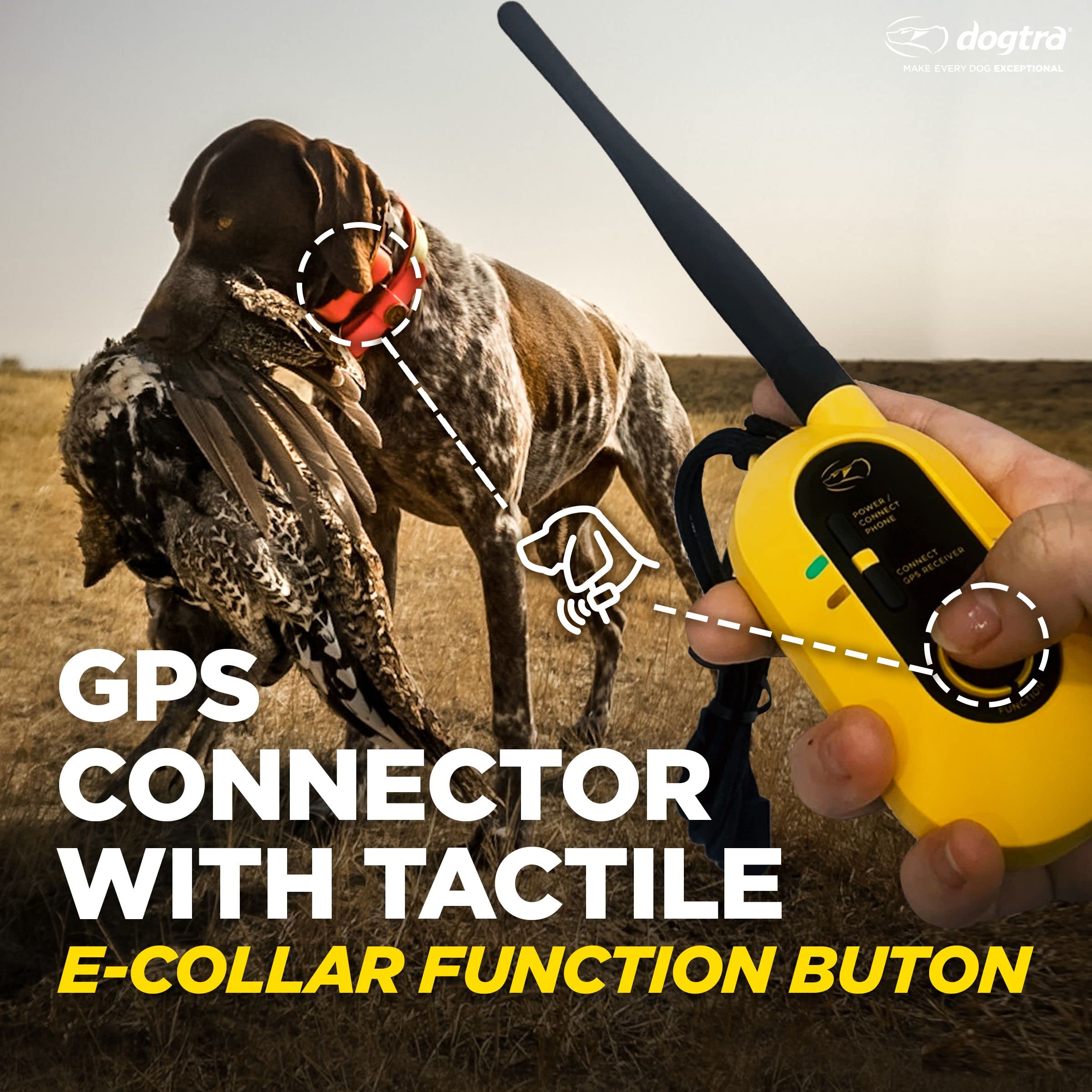 Dogtra Pathfinder 2 hunting kit includes everything for remote tracking