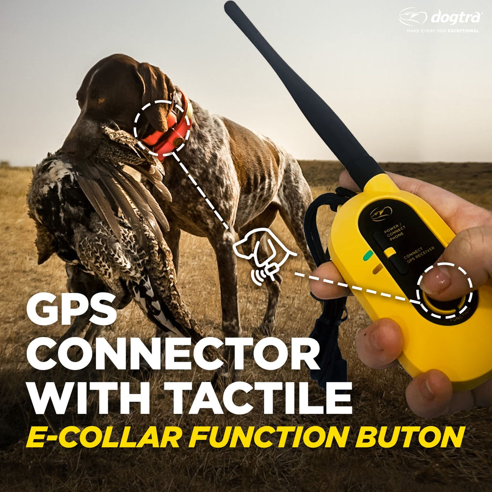 Dogtra Pathfinder 2 hunting kit includes everything for remote tracking