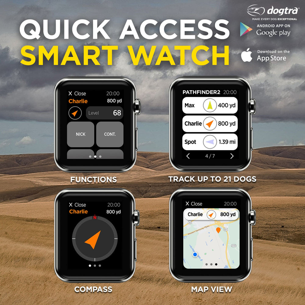 Dogtra Pathfinder 2 waterproof collar ready for rugged outdoor use
