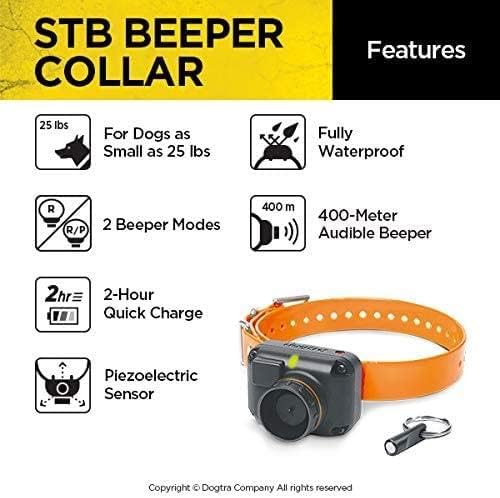 Dogtra STB Beeper Collar IPX9K waterproof for reliable field performance in wet conditions.