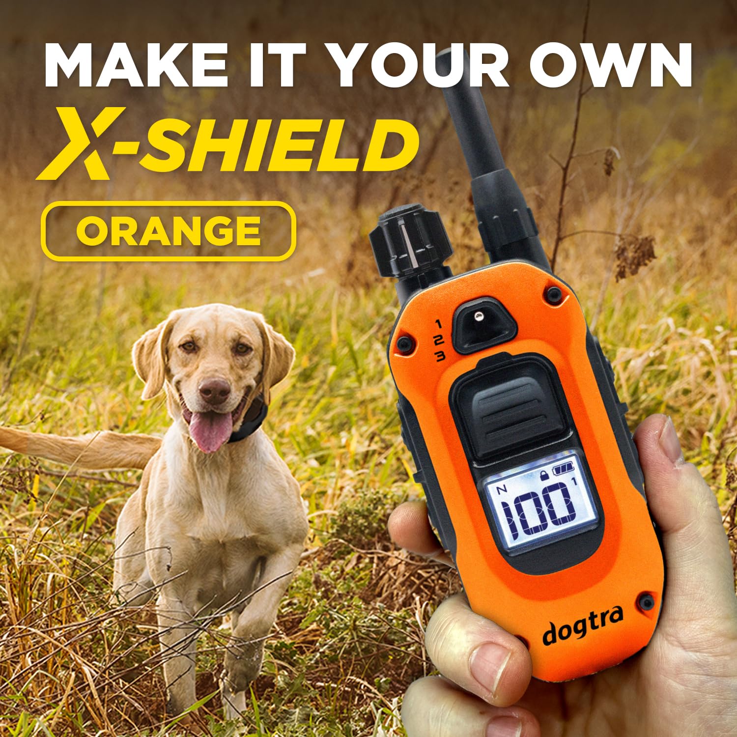 Dogtra X-Shield durability supports rugged field training.