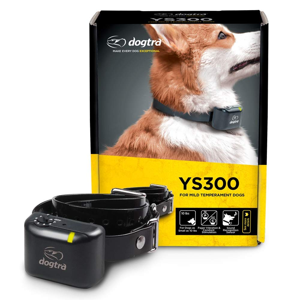 Dogtra YS300 receiver with sound recognition sensor for precise bark detection during training.