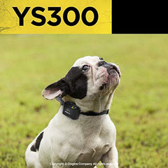 Dogtra YS300 rechargeable battery highlighting quick two-hour charging for uninterrupted sessions.