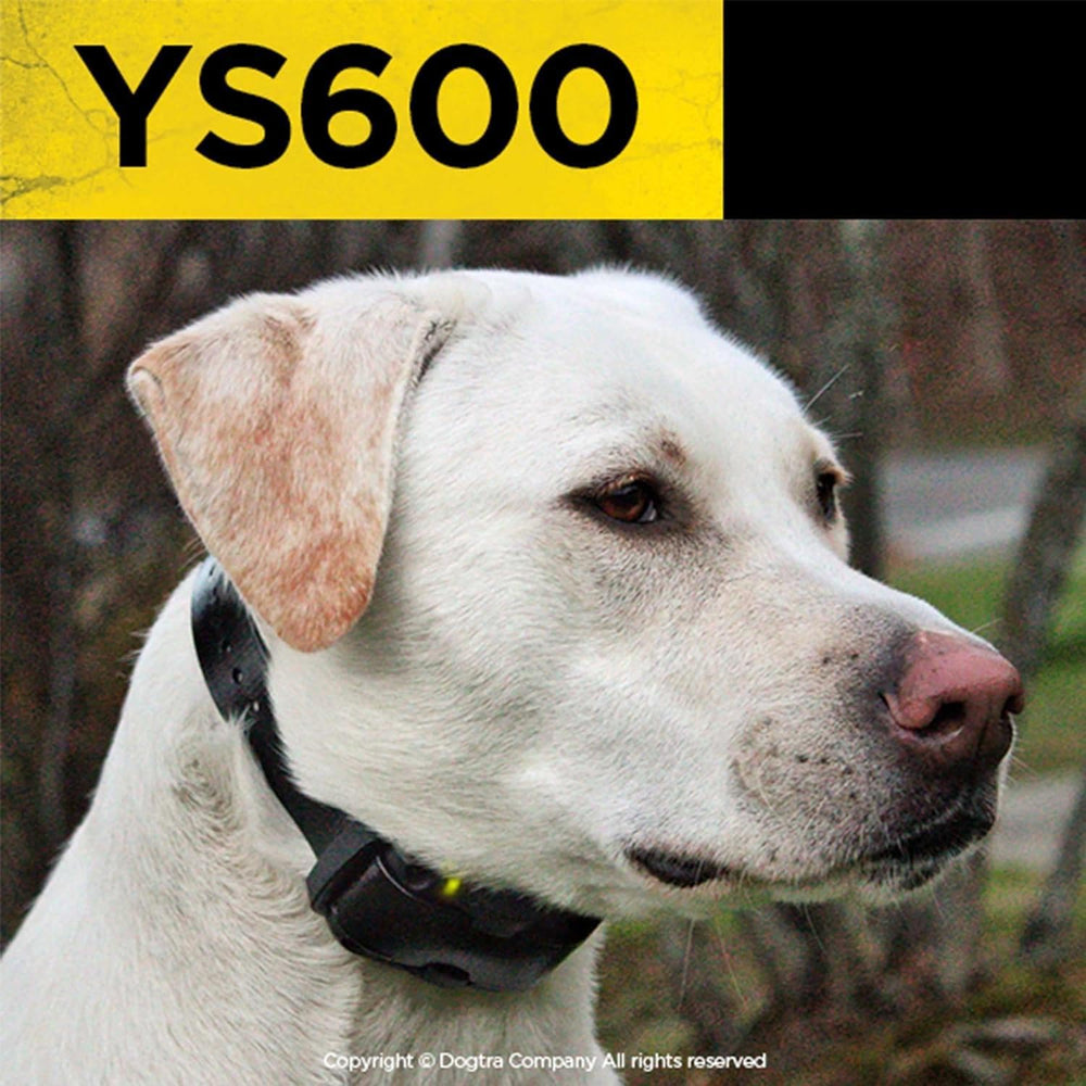 Dogtra YS600 bark indicator highlights excessive barking when the unit is off.