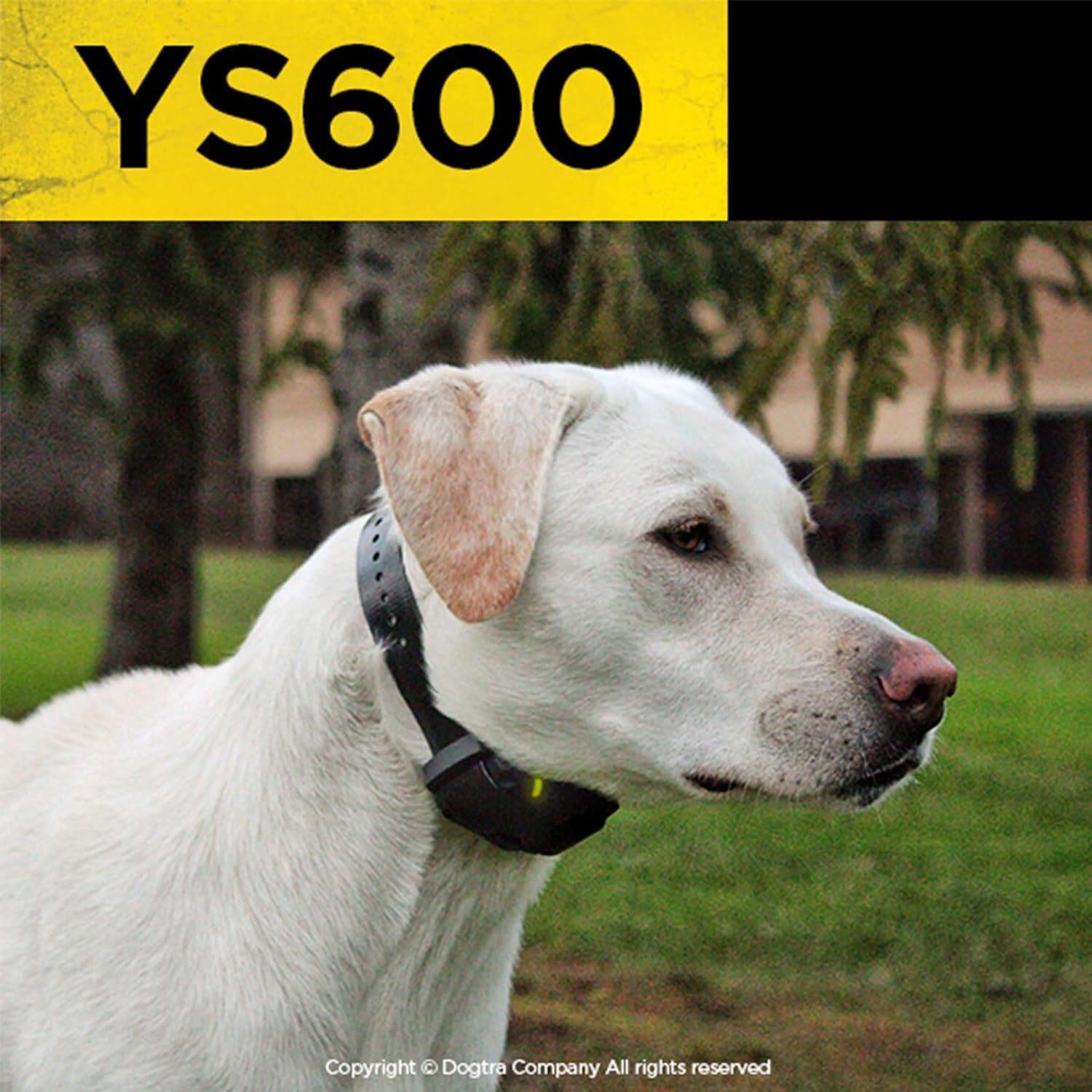 Dogtra YS600 High-Performance Pager provides a clear vibration cue during training.