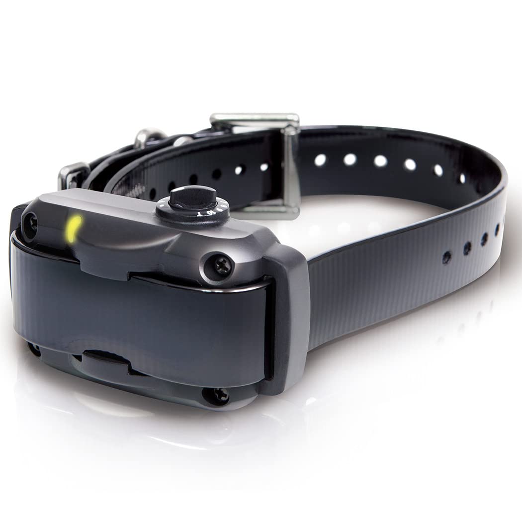 Dogtra YS600 waterproof design with 2-hour recharge battery for wet outdoor use.