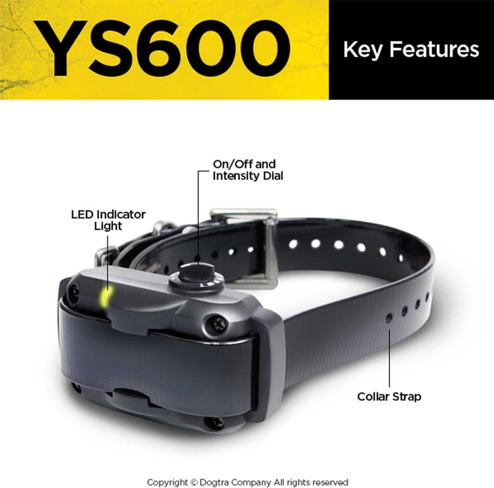 Dogtra YS600 waterproof collar can be used in rain and wet conditions.