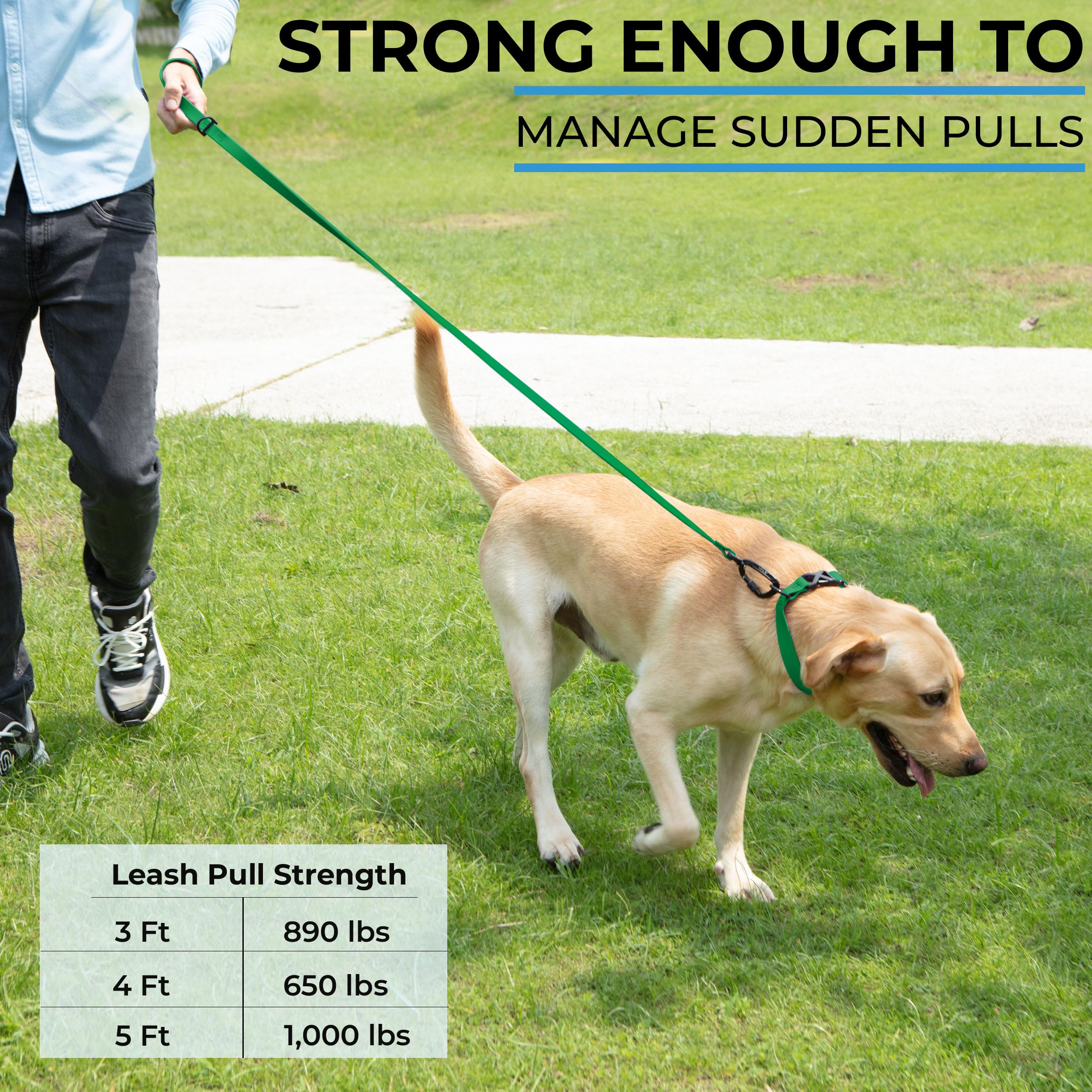 DogTraxs biothane leash color variants to match your dog's personality.