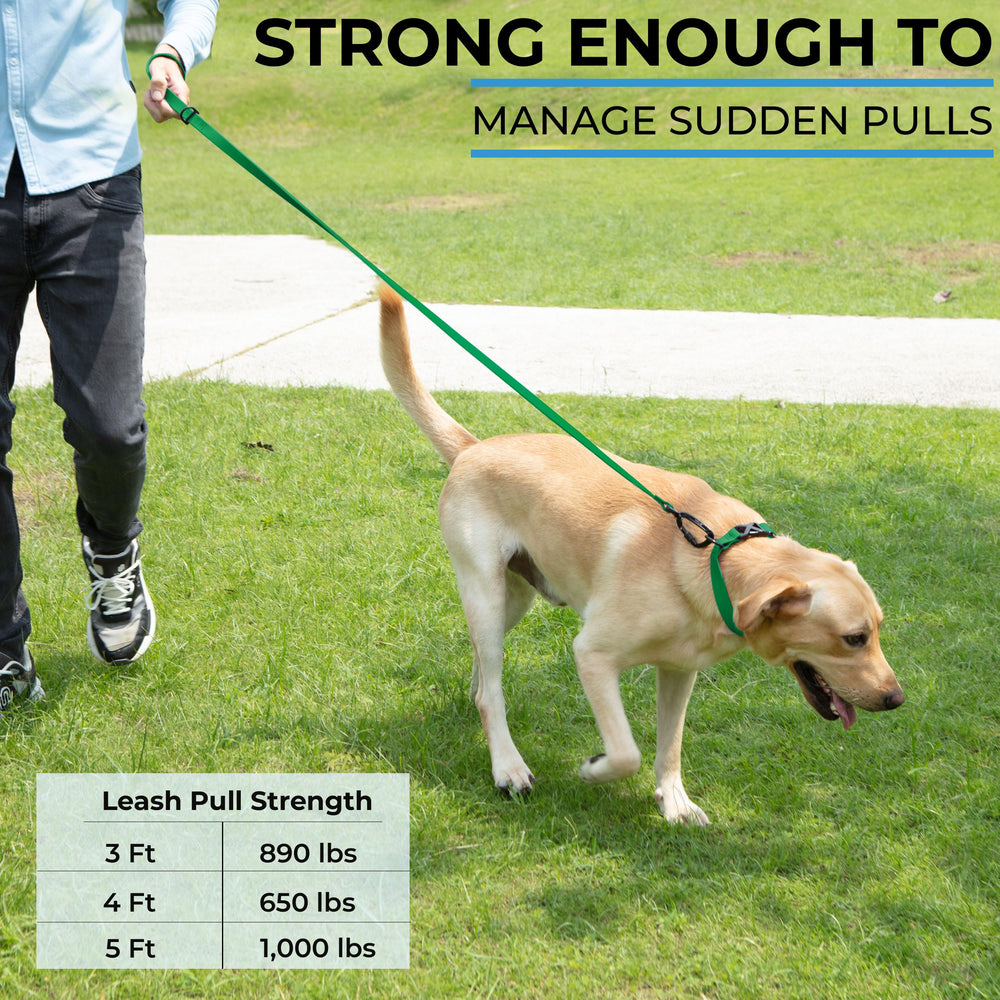 DogTraxs biothane leash color variants to match your dog's personality.