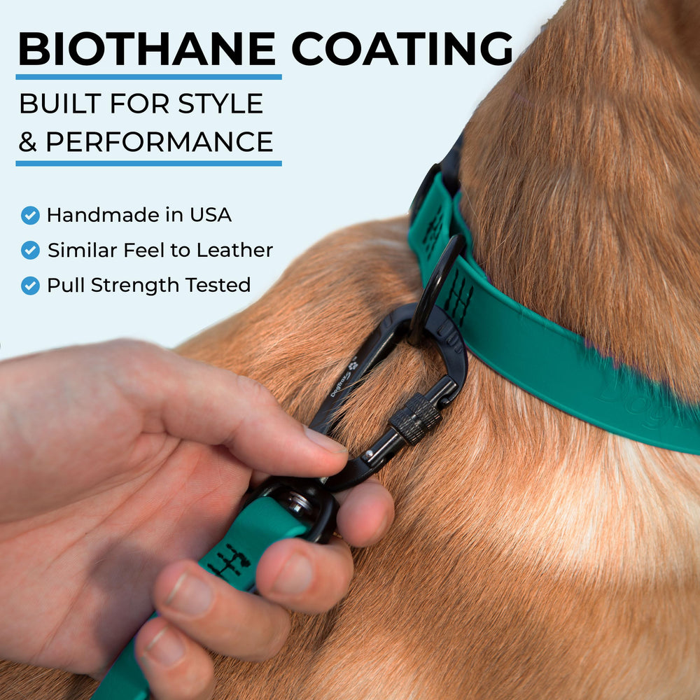 DogTraxs Biothane leash waterproof odorproof material highlights all-weather use.