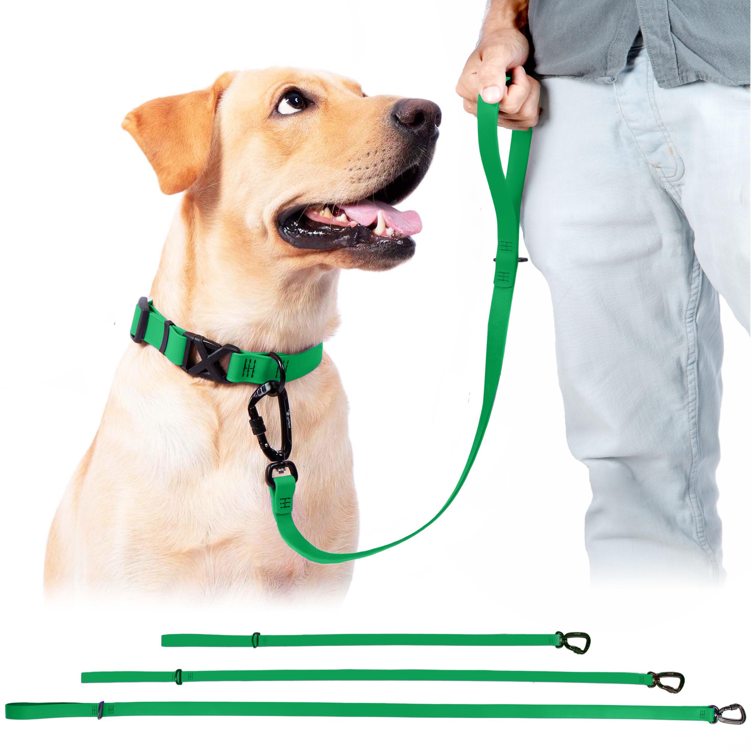 DogTraxs essential biothane leash shows 3 ft training length for close control.