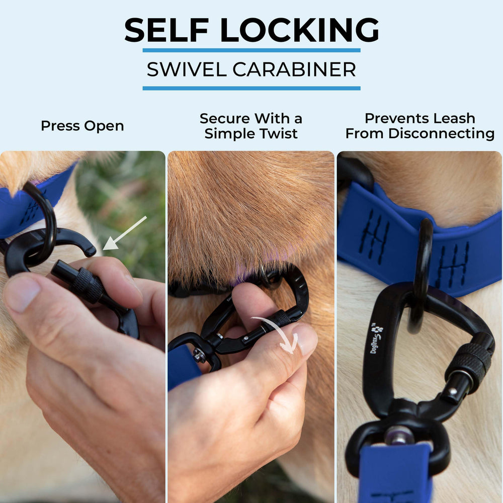 DogTraxs leash at 3-foot length ideal for close-control training