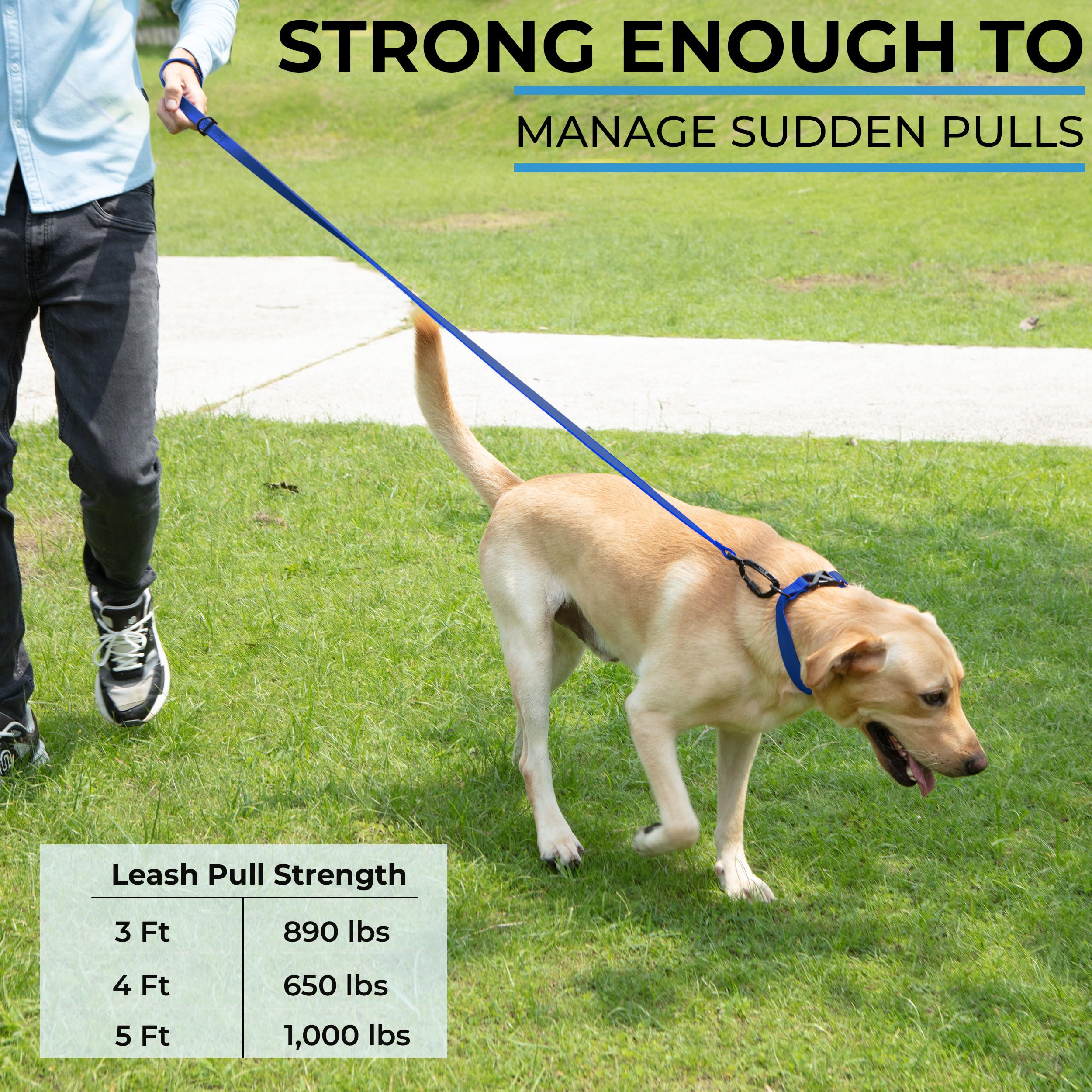 DogTraxs leash lab-tested for high-pull strength and reliability
