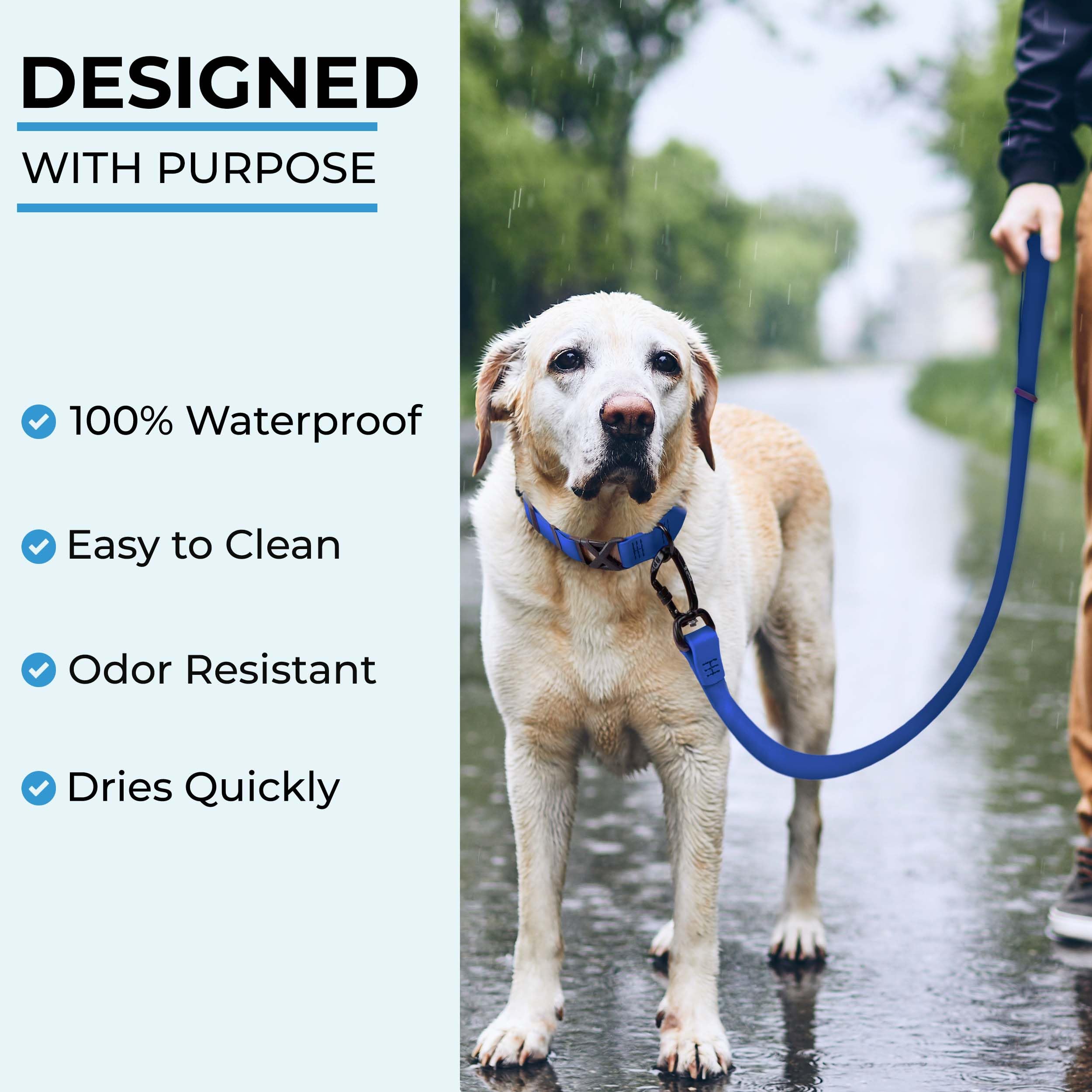 DogTraxs handmade in the USA leash showcases durable craftsmanship