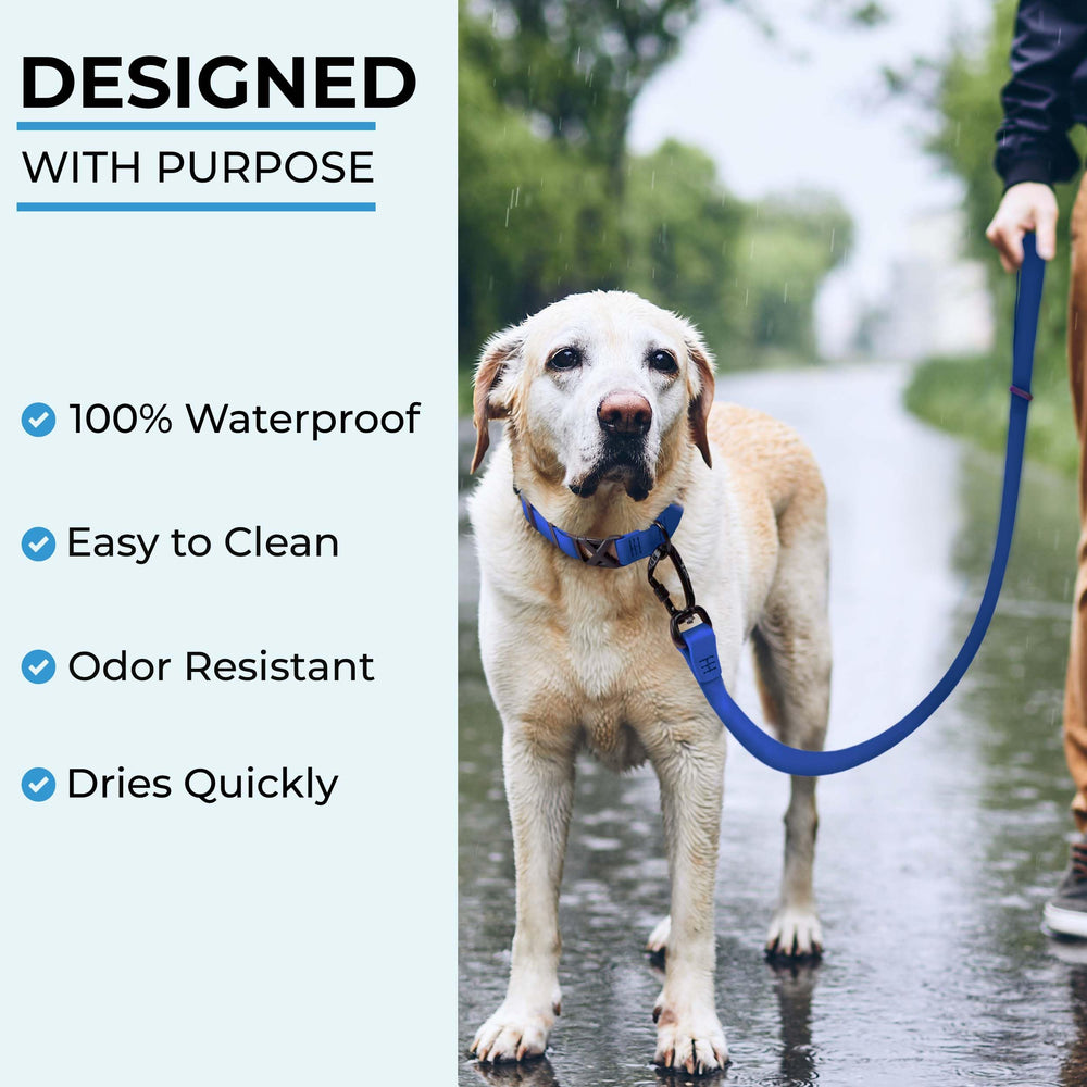 DogTraxs handmade in the USA leash showcases durable craftsmanship