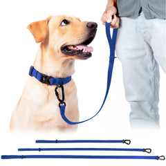 DogTraxs leash with self-locking carabiner confirms secure collar connection