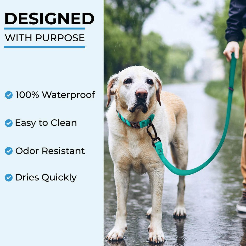 DogTraxs Made-in-USA Biothane leash showcases craftsmanship and durable materials.