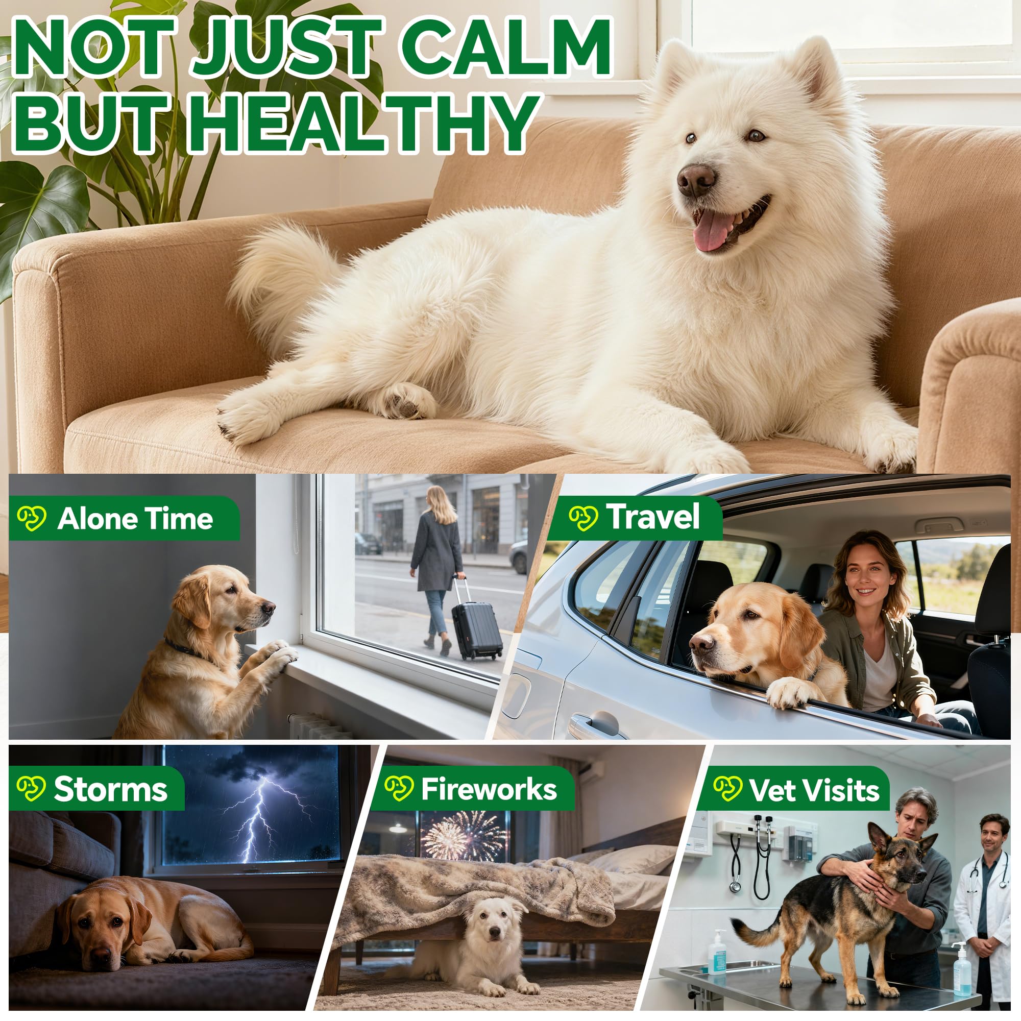 DOGVC dog during thunderstorm calm moment using calming chews for stress relief.