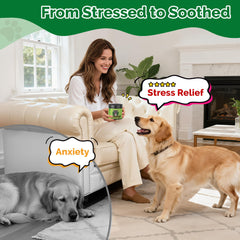 DOGVC Hemp Calming Chews bottle back label highlights non-GMO vegan formula.